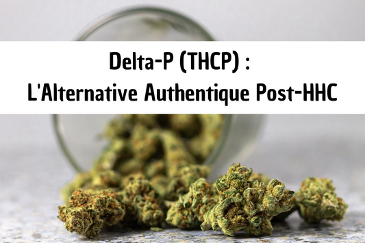 Delta P (THCP) : alternative au hhc