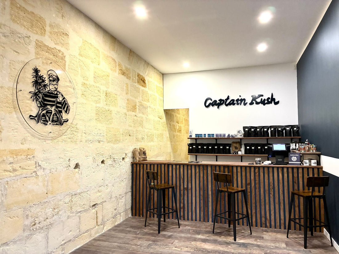 Où acheter du CBD à Libourne ? Votre guide complet avec Captain Kush 🌿