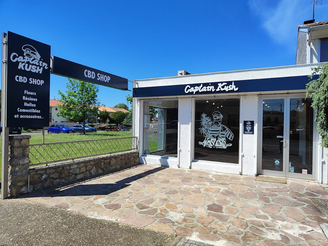 Où acheter du CBD à Eysines ? Votre guide complet avec Captain Kush 🌿