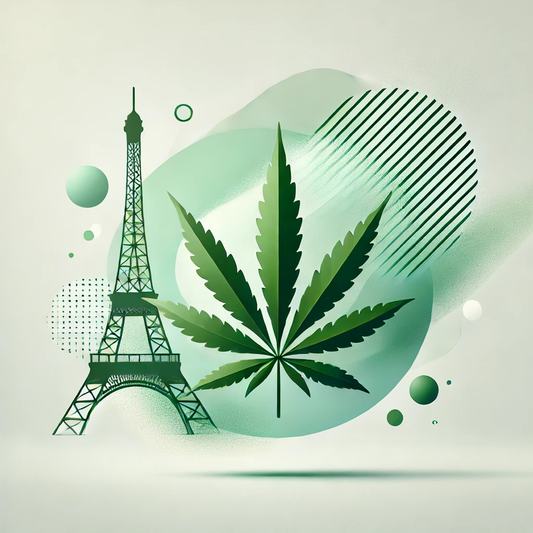 Politique et cannabis en France : perspectives et enjeux